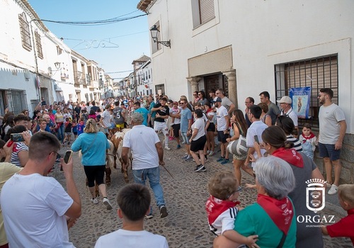 BUEYADA INFANTIL 