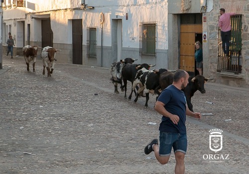 ENCIERRO POR LAS CALLES DE ORGAZ