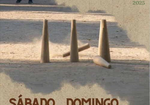 CAMPEONATO BOLOS LIV FDP