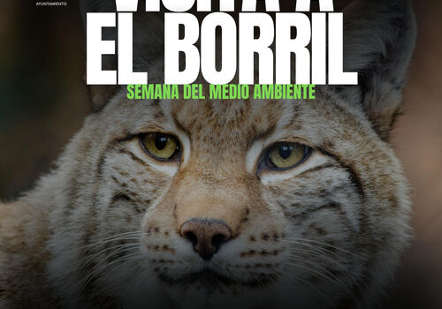 VISITA A 