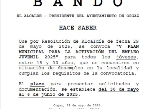 V PLAN DE EMPLEO JOVEN