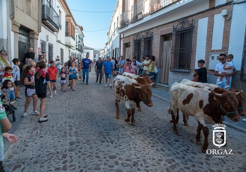 BUEYADA INFANTIL | FERIA y FIESTAS 2025