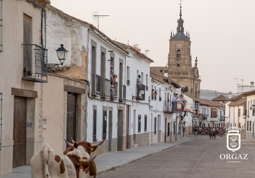 ENCIERRO POR LAS CALLES DE ORGAZ | FERIA Y FIESTAS 2025