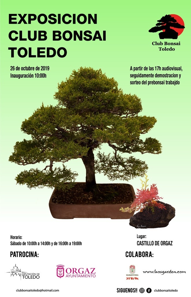 Exposición del Club Bonsai Toledo