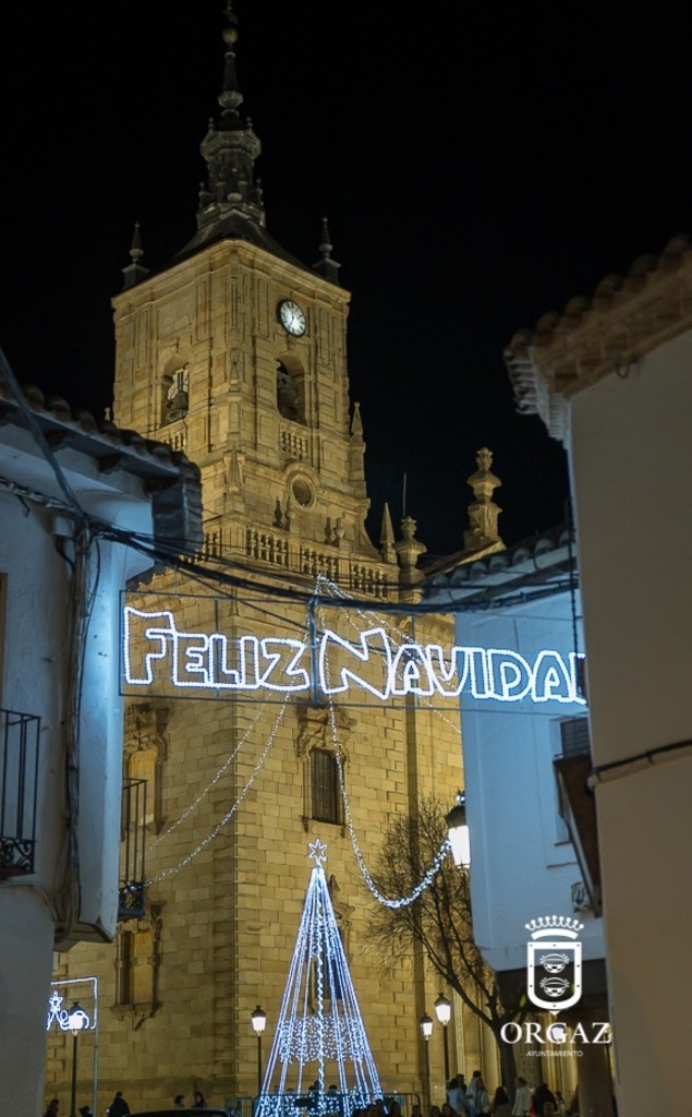 ENCENDIDO DE LUCES NAVIDEÑAS