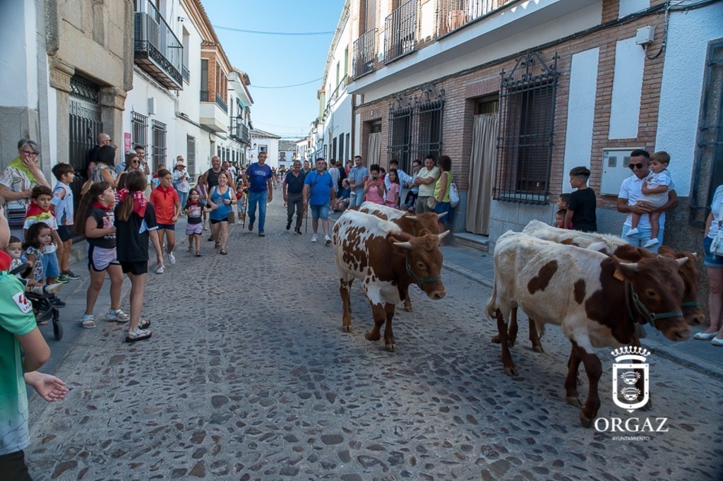BUEYADA INFANTIL | FERIA y FIESTAS 2025