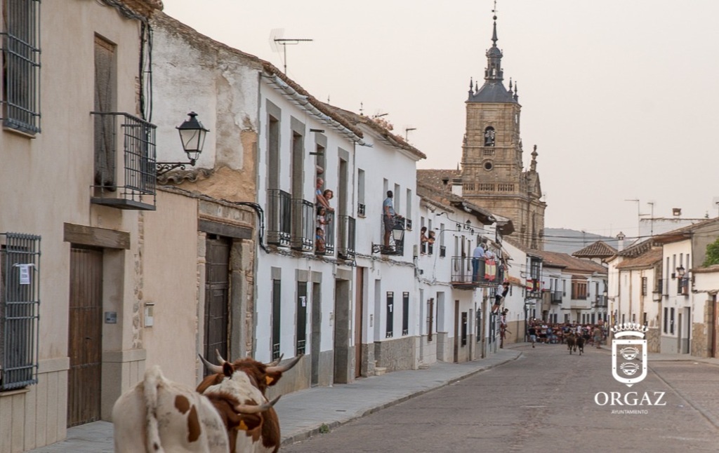 ENCIERRO POR LAS CALLES DE ORGAZ | FERIA Y FIESTAS 2025