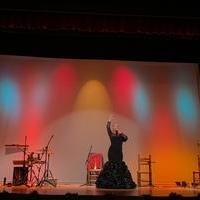 Noche de Copla y Flamenco 