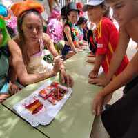 MASTERCHEF EN EL CAMPAMENTO URBANO 