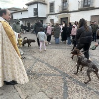 BENDICION DE ANIMALES Y TRADICIONALES VUELTAS