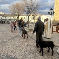 BENDICION DE ANIMALES Y TRADICIONALES VUELTAS