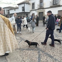 BENDICION DE ANIMALES Y TRADICIONALES VUELTAS