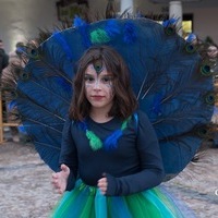 FOTOS CARNAVAL GENERAL 2025
