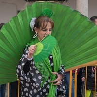 FOTOS CARNAVAL GENERAL 2025