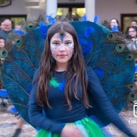 CARNAVAL GENERAL 2025