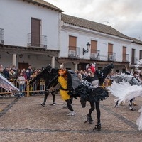 CARNAVAL GENERAL 2025