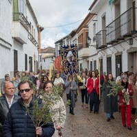 DOMINGO DE RAMOS EN ORGAZ 