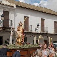 DOMINGO DE RAMOS EN ORGAZ 