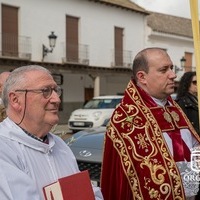 DOMINGO DE RAMOS EN ORGAZ 