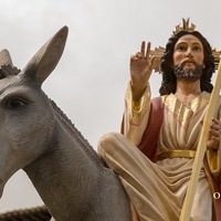 DOMINGO DE RAMOS EN ORGAZ 
