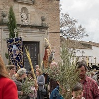 DOMINGO DE RAMOS EN ORGAZ 