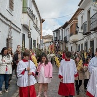 DOMINGO DE RAMOS EN ORGAZ 