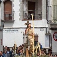 DOMINGO DE RAMOS EN ORGAZ 