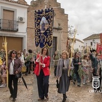 DOMINGO DE RAMOS EN ORGAZ 