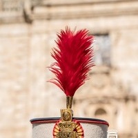 VISITA DE LA GUARDIA REAL A ORGAZ