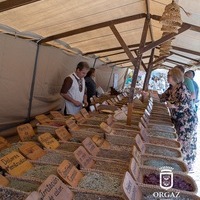 INAUGURACIÓN MERCADO MEDIEVAL