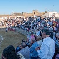 SENSACIONAL NOVILLADA LIV FDP