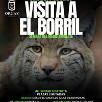 VISITA A 