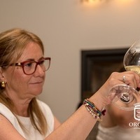 COMIENZO DE ORGAZ, CINCO SENTIDOS