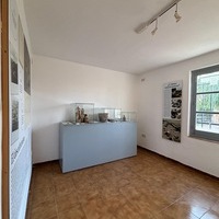 REAPERTURA MUSEO VISIGODO