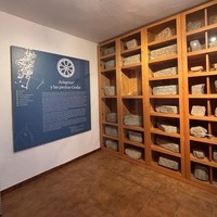 REAPERTURA MUSEO VISIGODO